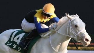 【アルテミスS】吉田隼「このまま負けずに…」白毛のソダシがデビュー3連勝