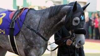 【JBCクラシック・馬体重】クリソベリルは542kg(+2)、オメガパフュームは453kg(+1)