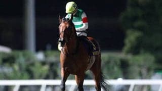 【JBCクラシック 17時時点オッズ】クリソベリルが単勝1.3倍の断然人気