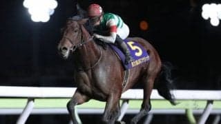 【大井・JBCクラシック結果】クリソベリルが断然人気に応えて完勝！ GI級競走4勝目