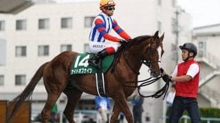 【先週のJRA抹消馬】マーメイドS覇者サラス、巴賞覇者ナイトオブナイツなど