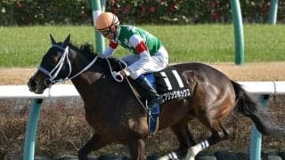 【JRA】今年の小倉サマージャンプ覇者スプリングボックスが引退、乗馬に