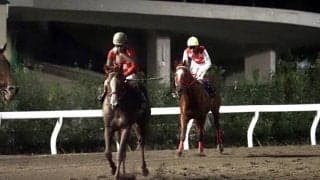 【JBCスプリント】戸崎「揉まれる競馬が…」1番人気ジャスティンは伸びきれず