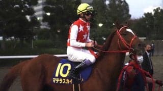 【JBCスプリント】武豊「状態は良かった」マテラスカイは粘るも2着まで