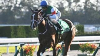 【ファンタジーS展望】阪神JFの前哨戦、あの馬の巻き返しを期待したい