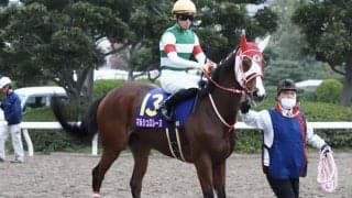 【JBCレディスクラシック】川田「手応えは良かったのですが…」レース後ジョッキーコメント