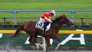 【門別競馬情報】馬産地日高で初開催「JBC」は発売面で大盛況!そしてシーズンは残り2日、今夜メイン12Rは「オルフェーヴル・プレミアム」/地方競馬情報