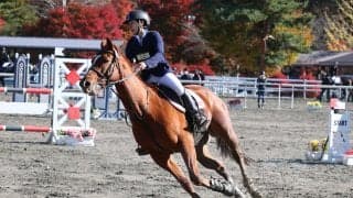 特別な年のインカレ　愛馬と共に駆け抜けた３日間ー全日本学生馬術大会2020