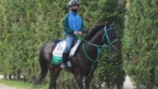 【みやこS】エアアルマス池添学師「リフレッシュされて良い状態」/ねぇさんのトレセン密着