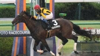 【みやこS前日オッズ】ベストタッチダウンが3.1倍で1番人気