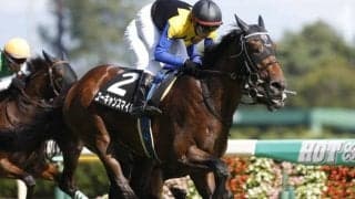 【アルゼンチン共和国杯前日オッズ】ユーキャンスマイルが2.8倍で1番人気