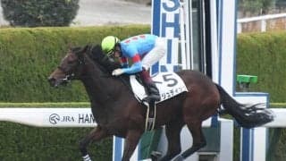 【阪神6R新馬戦結果】ジュディッタが人気に応えて快勝