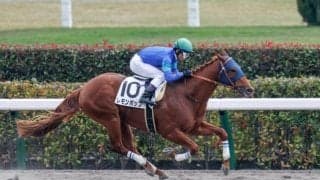 【東京6R新馬戦結果】外国産馬レモンポップが断然人気に応えてV