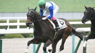 【阪神5R新馬戦結果】ヴェルトハイムが突き抜け快勝