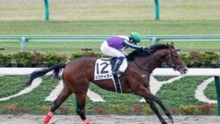 【東京5R新馬戦結果】関西馬イグナイターが7馬身差の圧勝