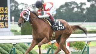 【ファンタジーS予想】追って味があるサルビアに期待