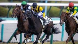 【新馬/阪神5R】武豊 オヌールが断然の支持に応える