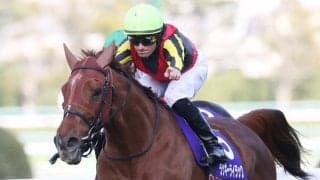 【エリザベス女王杯】登録馬と見どころ ラッキーライラックなど19頭