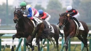 【新馬/阪神5R】ヴェルトハイムがデビューV！2馬身半差完勝