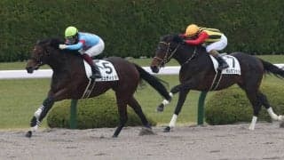 【新馬/阪神6R】ダノンレジェンド産駒 ジュディッタがデビューV