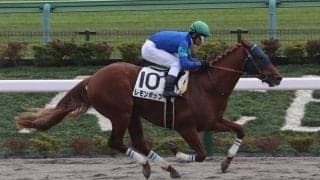 【新馬/東京6R】単勝1.7倍 レモンポップが断然の人気に応える