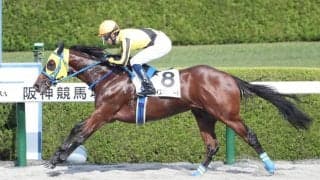 【新馬/阪神4R】ワイズマンハートが6馬身差圧勝V