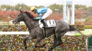 【新馬/阪神6R】ディープインパクト産駒 グレイイングリーンが人気に応える