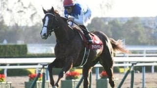 【デイリー杯2歳S展望】キャリアより素質を重視したい一戦、あの馬に期待