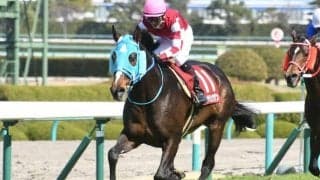 【京都ジャンプS】絶対王者オジュウチョウサンなど7頭の登録/出走馬決定順