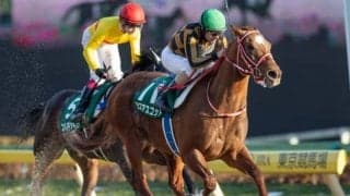 【武蔵野S】フルゲート16頭に19頭　抽選・除外の対象馬はオータムリーフSにも登録/出走馬決定順