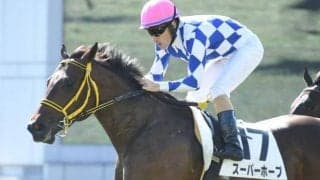 【デイリー杯2歳S出走馬決定順】登録は12頭で6頭は他レースにも登録