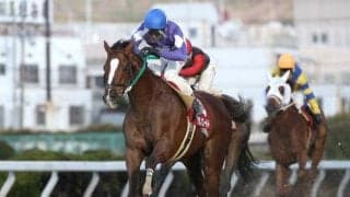 【地方競馬】園田金盃はファン投票で出走馬を選出、10日より投票開始