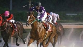 タガノゴールドの献花台を設置、北國王冠のレース後に死亡　2019年の兵庫年度代表馬、重賞8勝