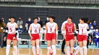 『春高バレー』特設サイトを開設