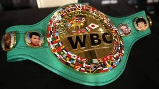 WBCが異例の新階級「ブリッジャー級」設立　妹救った勇敢な米6歳少年が名前の由来に