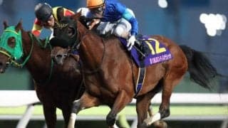 ファッショニスタが引退、繁殖馬に　JBCレディスクラシックなどダートグレード競走3勝