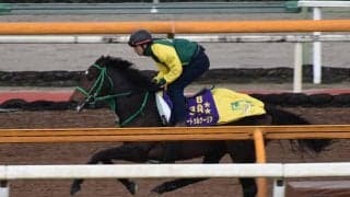 サートゥルナーリア、ジャパンC2週前追い切り速報/栗東トレセンニュース