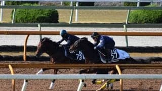 ダノンザキッド、東京スポーツ杯2歳S1週前追い切り速報/栗東トレセンニュース