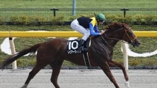 【武蔵野S展望】ダート重賞で屈指のスピードレース、あの穴馬に期待したい