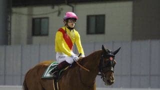 【川崎・ノベンバースター賞】チークスが逃げ切りで通算13勝目