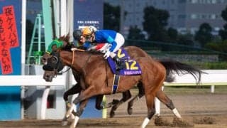 ファッショニスタが競走馬登録抹消