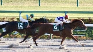 【武蔵野S】サンライズノヴァが重賞5勝目