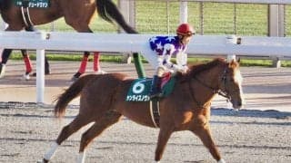 【武蔵野S】松若「馬から力を感じる」サンライズノヴァが重賞5勝目