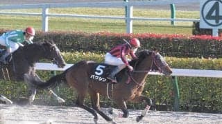 【オキザリス賞】バクシンが未勝利からの連勝