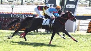 【新馬/東京4R】アンダープロットがデビューV！プレミアエンブレムは敗れる