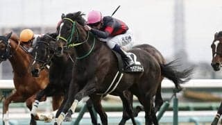 【エリザベス女王杯予想】 舞台替わりだからこそ狙える人気薄の“穴馬”とは!? パドックのスペシャリストが馬体から適性を診断！/JRAレース展望