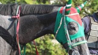 【エリザベス女王杯】オジュウチョウサンを負かした陣営が送り出すゴールドシップ産駒ウインマイティー/ねぇさんのトレセン密着