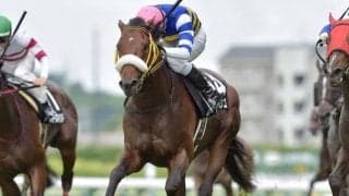 【福島記念前日オッズ】ヴァンケドミンゴが4.7倍で1番人気