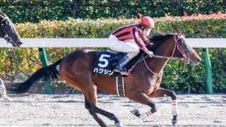 【オキザリス賞結果】バクシンが人気に応えて快勝