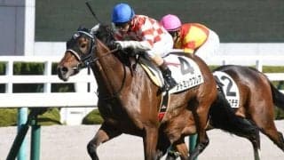 【阪神5R新馬戦結果】アトミックフレアが押し切り新馬勝ち